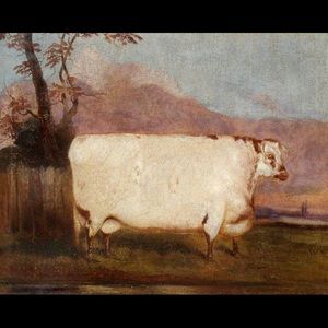 Meet your Posher, Adam